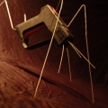 Ant Launches 02