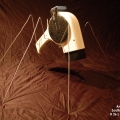 Ant Phon White 01