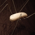 Ant Phone Double 08