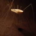 Ant Phone Double 05