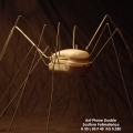 Ant Phone Double 01