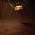 Ant Phone Double 03