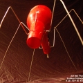 Ant Red Phon 03