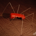 Ant Red Phone 02