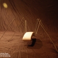 Ant White Phone 01