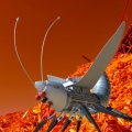 insect-01-web