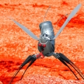 insect-03-web