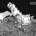 Bruco Spaziale 01