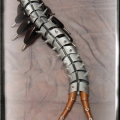 Millepiedi 05