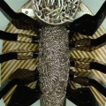 Mosca 05