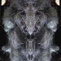 011-face-copia-2