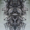 08-aracne-30x30