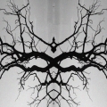 face-30x15