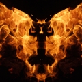 fire Butterfly
