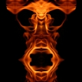 fire face horse