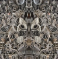 owl-60-x-60