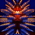 ragno-blu-copia-2
