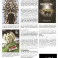 articolo-il-nuovo-giugno 2011