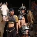 le-zebre-02